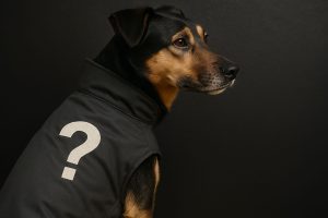 Kvinna i röd jacka och hund njuter av naturen.